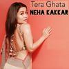 Tera Ghata - Neha Kakkar